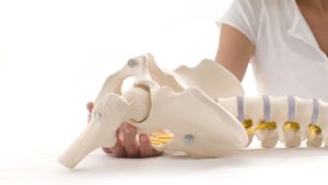 Diplomado en Kinesiología Pélvica y Uroginecología Funcional